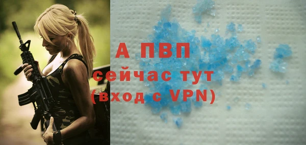 круглые Болотное