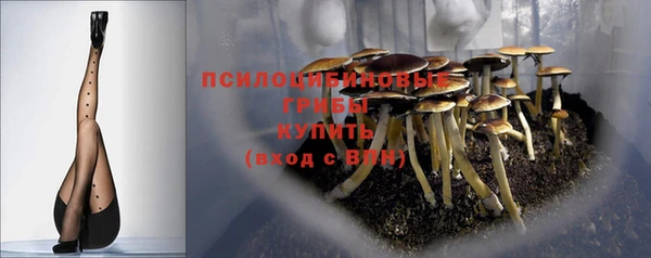 круглые Болотное