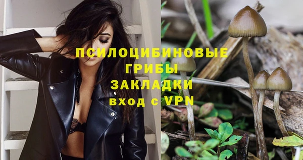 соль ск Болохово