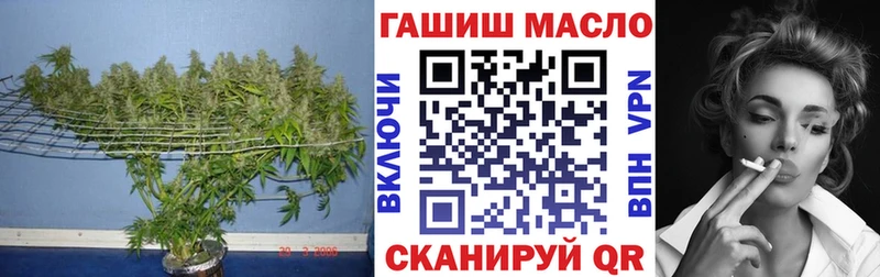 ТГК вейп  Ишим 