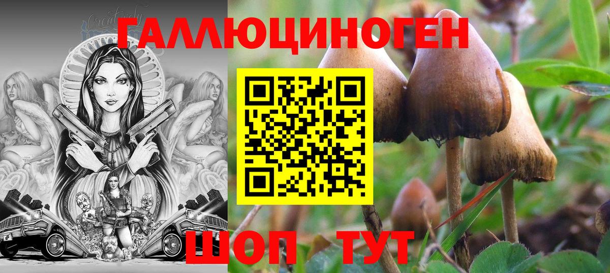 Ишим  Галлюциногенные грибы мухоморы  Вход с VPN  Псилоцибиновые грибы Magic Shrooms 