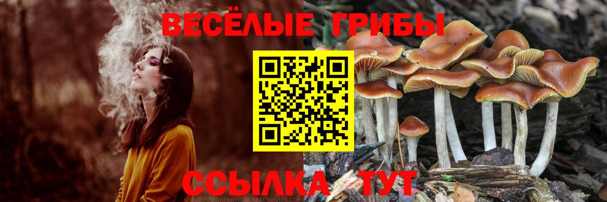 Галлюциногенные грибы Magic Shrooms Ишим